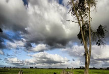 魔术前锋的TED演讲：从低谷到联盟的逆袭与魔术表演前的台词