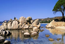 尤文图斯主场惊险获胜，保住领先优势